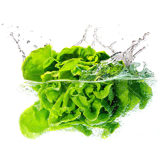 Fresh Organic Mustard Leaves